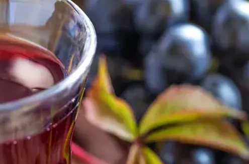 Resveratrol Resveratrol